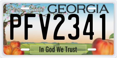 GA license plate PFV2341