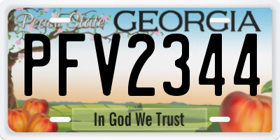 GA license plate PFV2344
