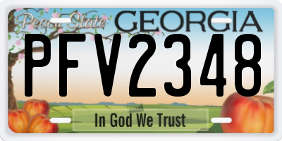 GA license plate PFV2348