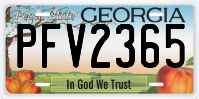 GA license plate PFV2365