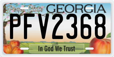 GA license plate PFV2368