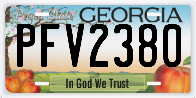 GA license plate PFV2380