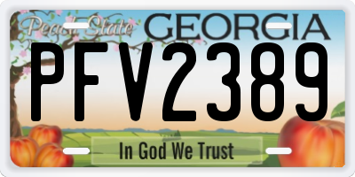 GA license plate PFV2389