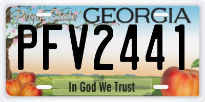 GA license plate PFV2441