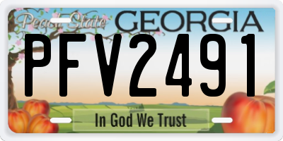GA license plate PFV2491