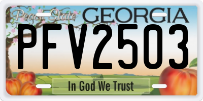 GA license plate PFV2503
