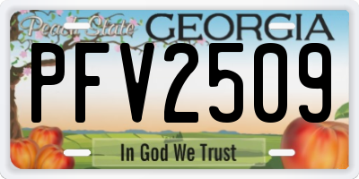 GA license plate PFV2509