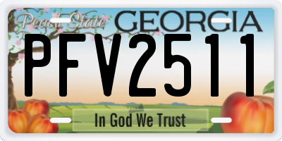 GA license plate PFV2511