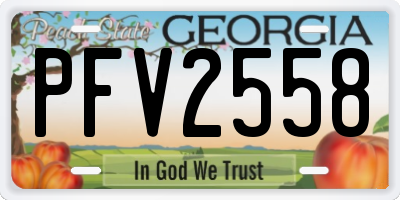 GA license plate PFV2558