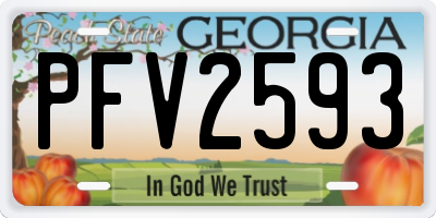 GA license plate PFV2593
