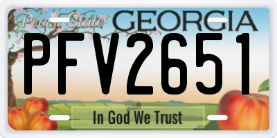 GA license plate PFV2651