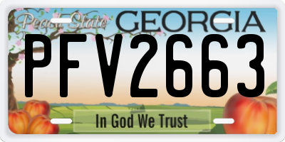 GA license plate PFV2663