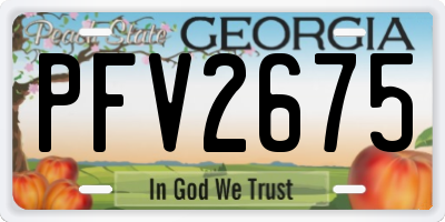 GA license plate PFV2675