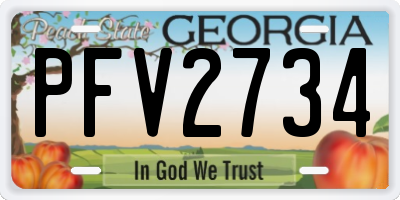 GA license plate PFV2734