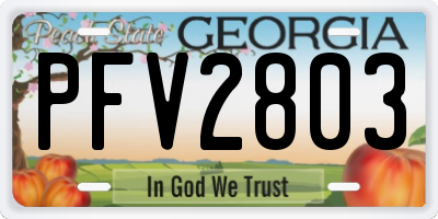 GA license plate PFV2803