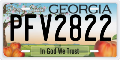 GA license plate PFV2822