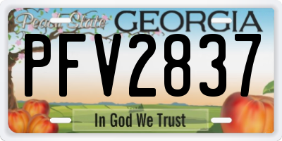 GA license plate PFV2837