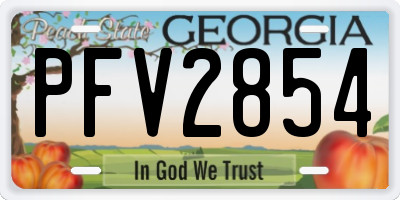 GA license plate PFV2854
