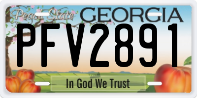 GA license plate PFV2891