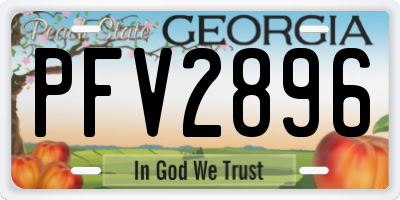 GA license plate PFV2896