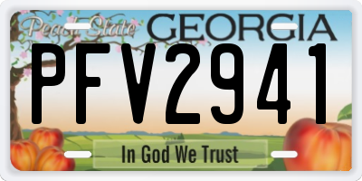 GA license plate PFV2941
