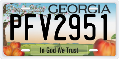 GA license plate PFV2951