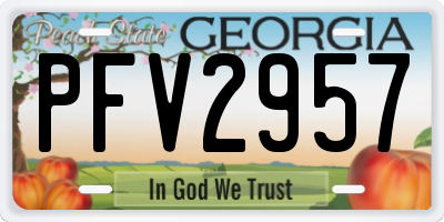 GA license plate PFV2957