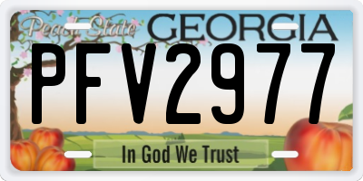 GA license plate PFV2977