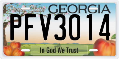 GA license plate PFV3014