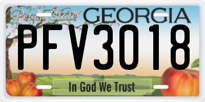 GA license plate PFV3018