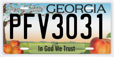 GA license plate PFV3031