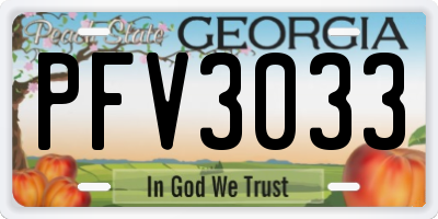 GA license plate PFV3033