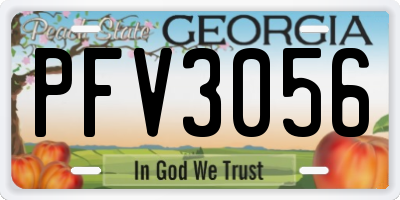 GA license plate PFV3056