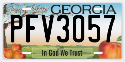 GA license plate PFV3057