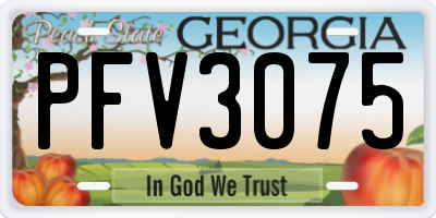 GA license plate PFV3075