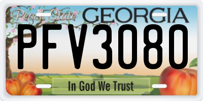 GA license plate PFV3080