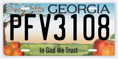 GA license plate PFV3108
