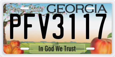 GA license plate PFV3117
