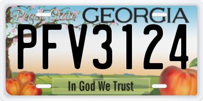GA license plate PFV3124