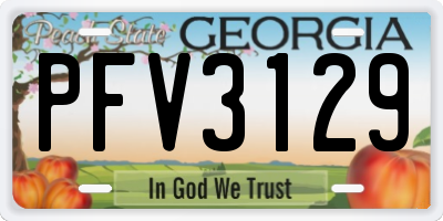 GA license plate PFV3129