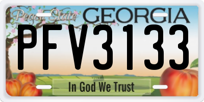 GA license plate PFV3133