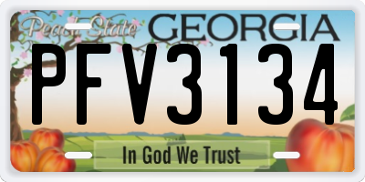 GA license plate PFV3134