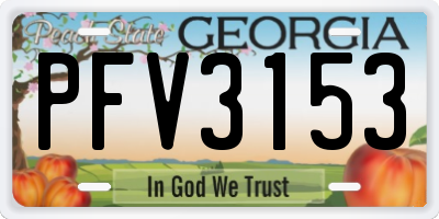 GA license plate PFV3153