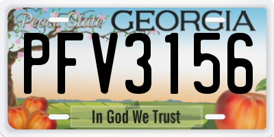 GA license plate PFV3156