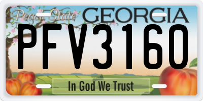 GA license plate PFV3160