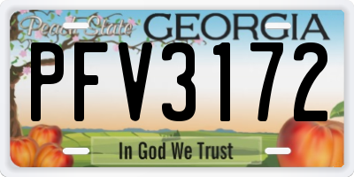 GA license plate PFV3172