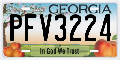 GA license plate PFV3224
