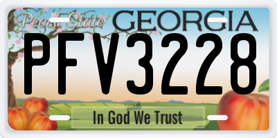 GA license plate PFV3228