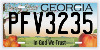 GA license plate PFV3235