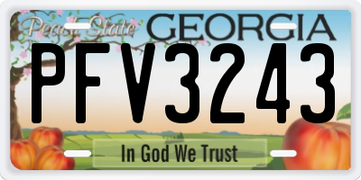 GA license plate PFV3243